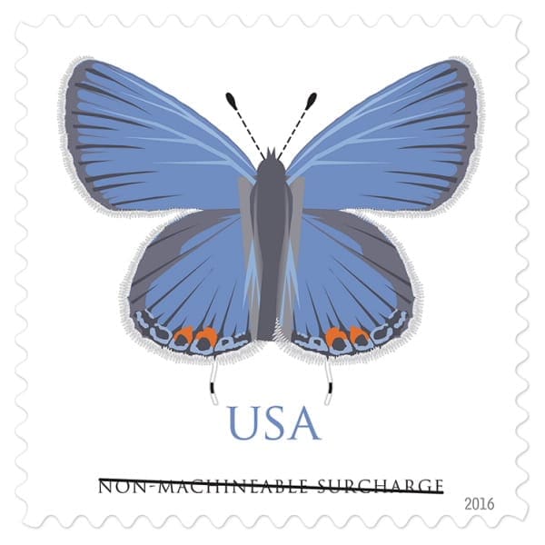 Non-machinable Butterfly Stamp