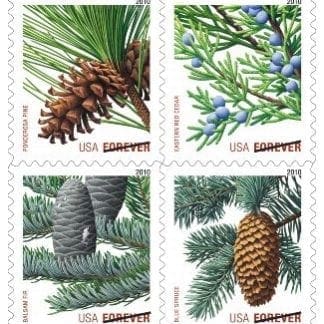 Holiday Evergreens Forever Stamps