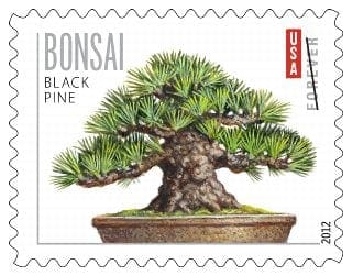 Bonsai Tree Forever Stamps