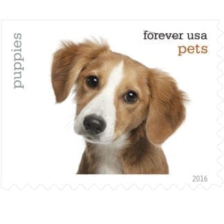 Pets Forever Stamps