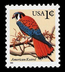 American Kestrel Stamp