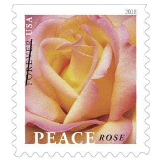Peace Rose Forever Stamp