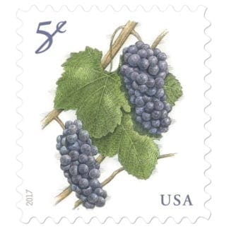 Grapes 5c Stamp