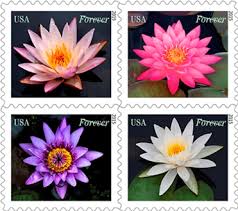 Water Lilies Forever Stamp