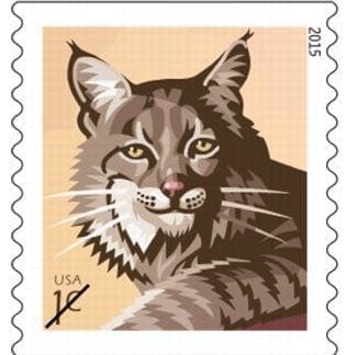 1c Bobcat (Roll Of 3,000)