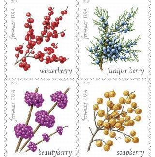 Winter Berries (Book Of 20)