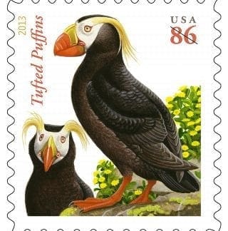 tufted puffin stamp