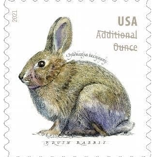 Brush Rabbit Additional Ounce (Roll Of 100)