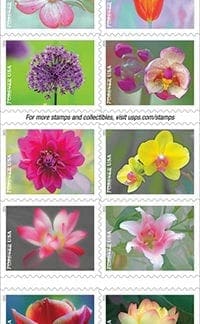 Garden Beauty (Book Of 20)