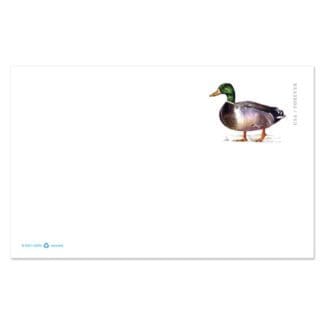 mallard forever postcards