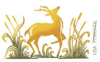 deer forever postcards
